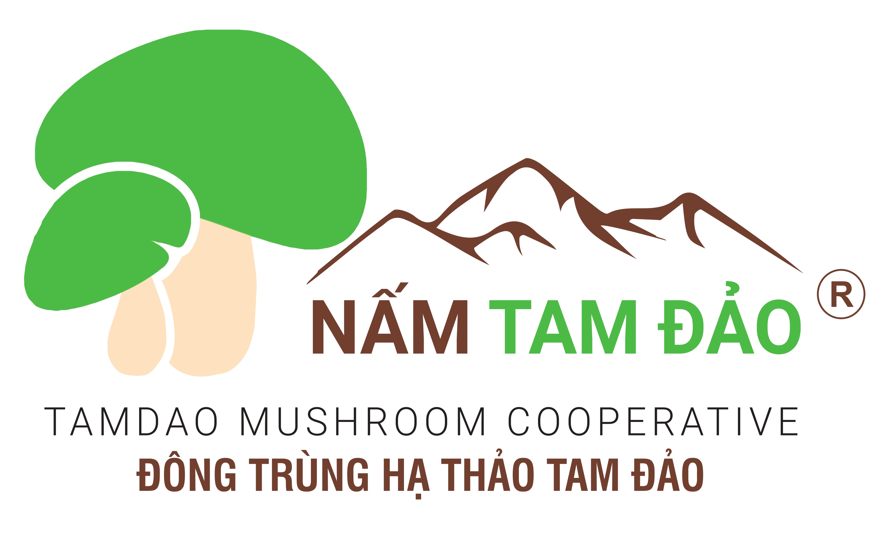 namtamdao.vn